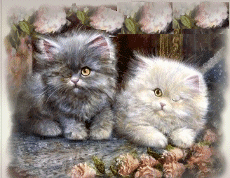 oh qu'ils sont mimis  !!!!